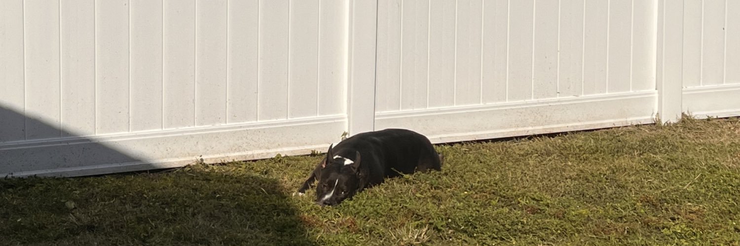 madibeee123's profile banner image