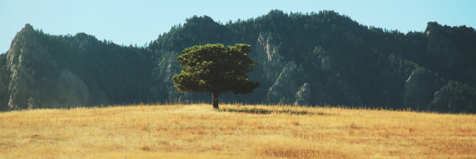 KyAkins's profile banner image