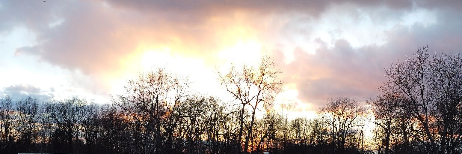 Ethan_Wolf2's profile banner image