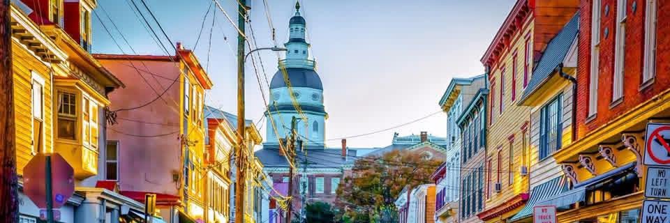 Maryland Republican Party banner