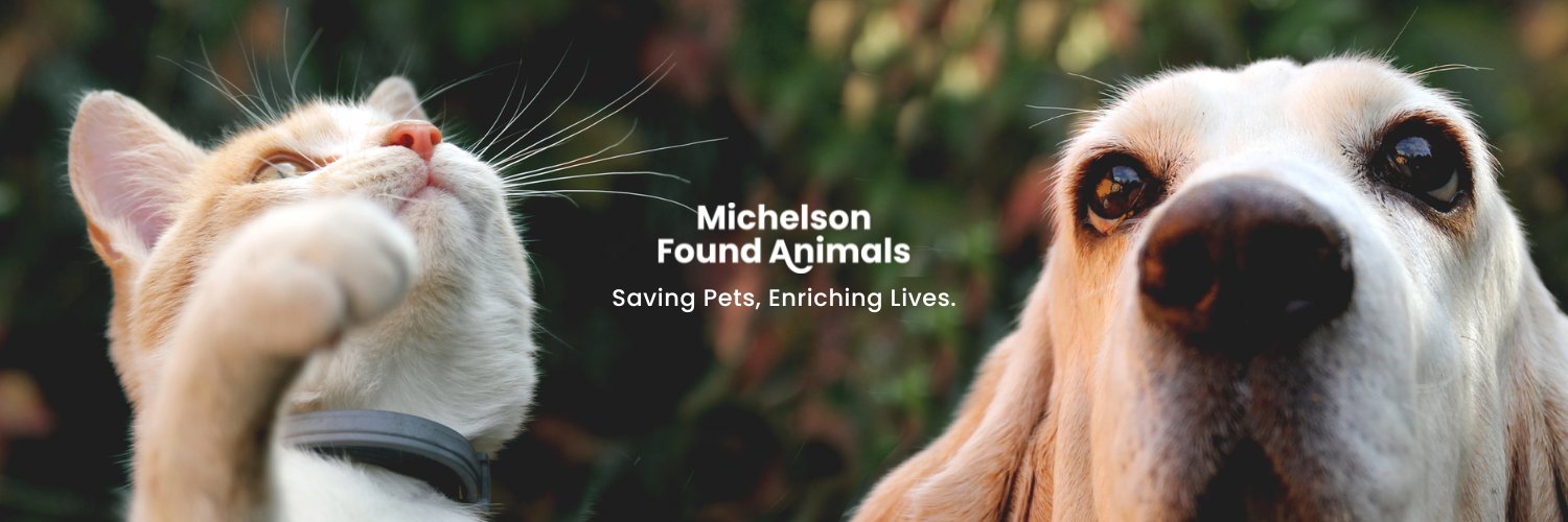 Michelson Found Animals banner
