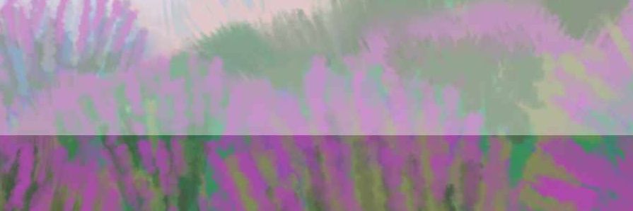 17notZane's profile banner image