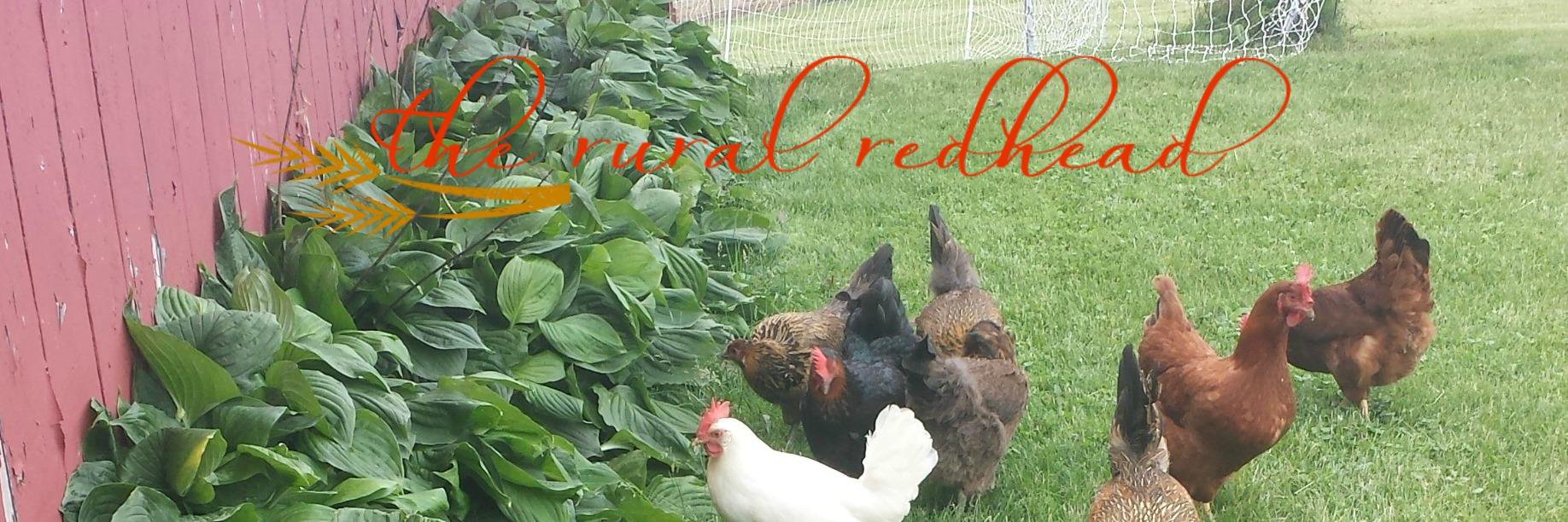 TheRuralRedhead's profile banner image