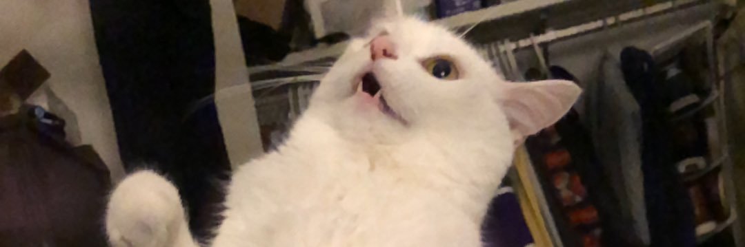 trptdave's profile banner image
