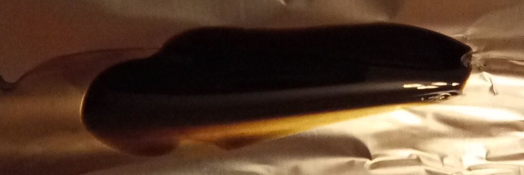 festanyl nihil banner
