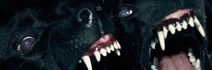 iLuvKyeah's profile banner image
