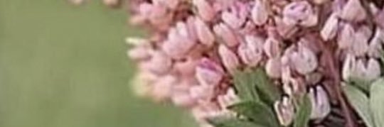 amoool7931's profile banner image