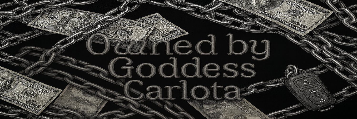 Zenith de Carlota banner