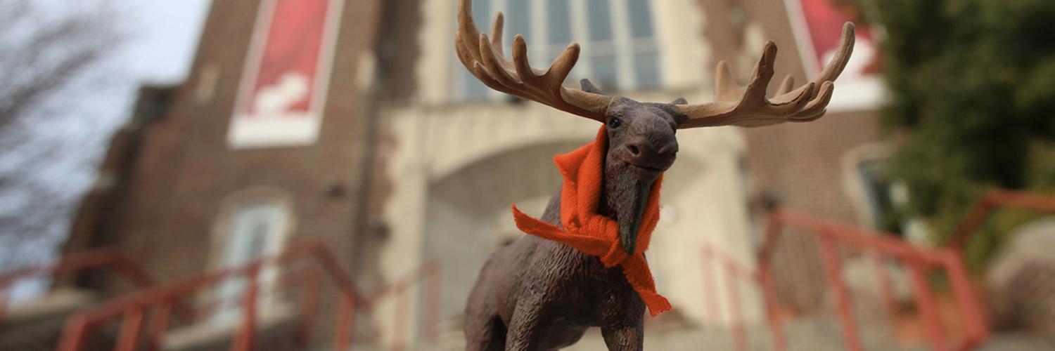 campmoose's profile banner image