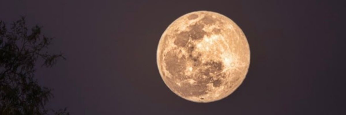 Cande🧚🏽 banner