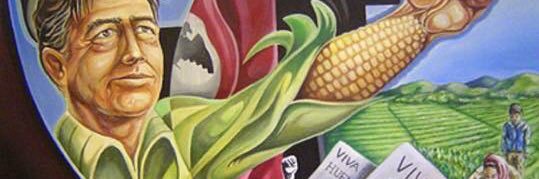 MEChAdeWNMU's profile banner image