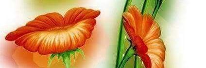 Mehranshar786's profile banner image