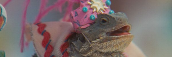 Takkoshell Profile Banner