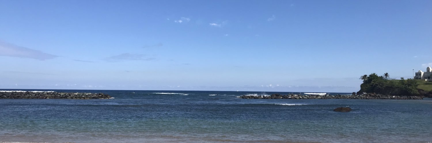 Heather Trepal banner