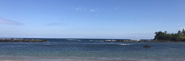 HeatherTrepal Profile Banner