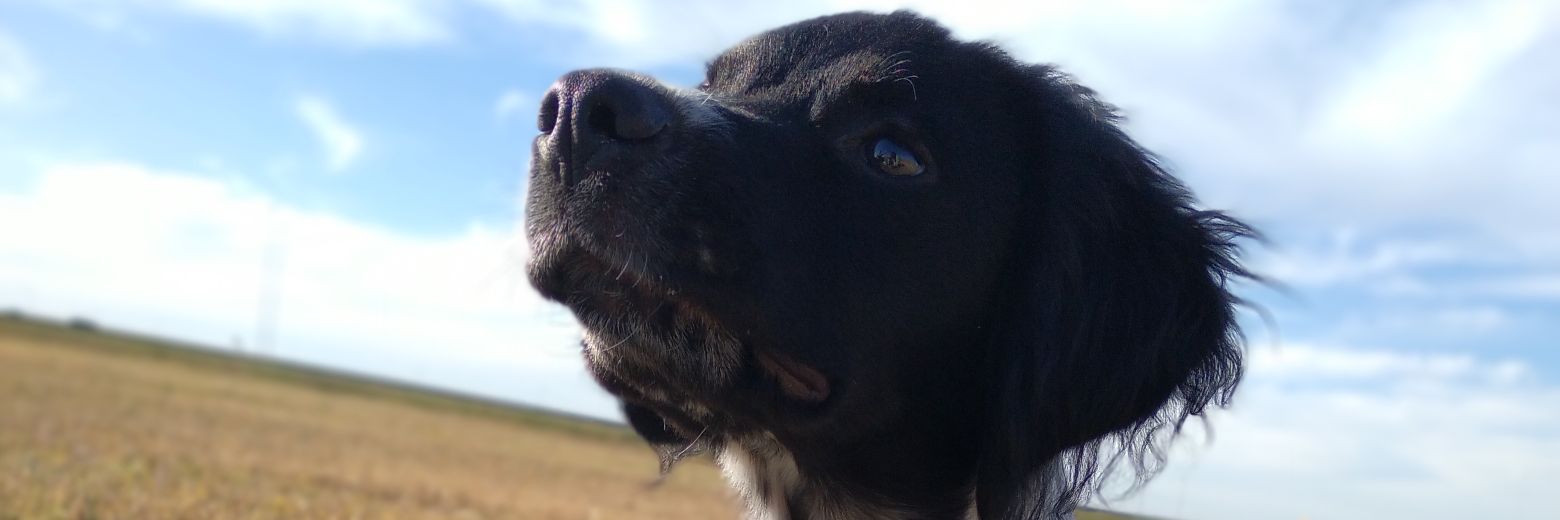 MariaPissinis2's profile banner image