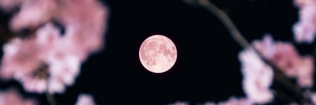 Sara__0619's profile banner image