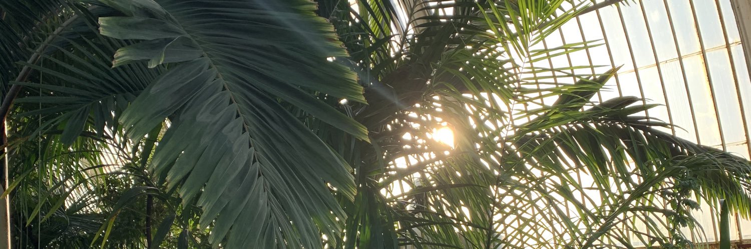 LuzPlaza's profile banner image