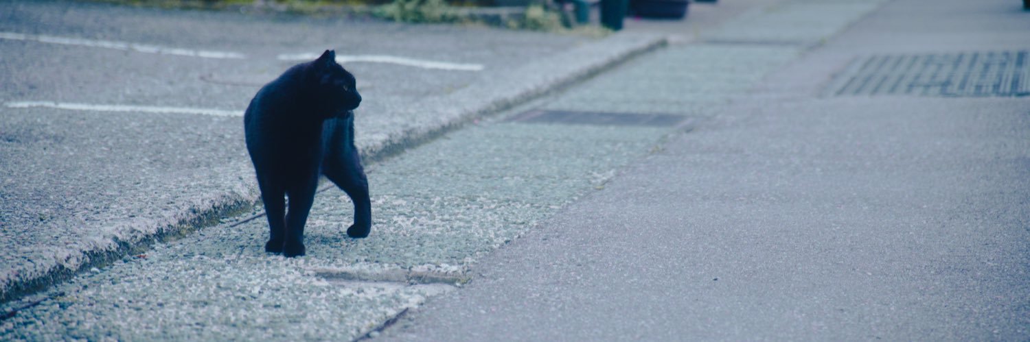 伊藤ゆう子 banner