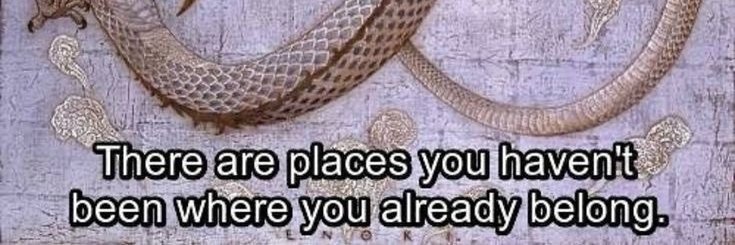 Django (hype/acc) banner