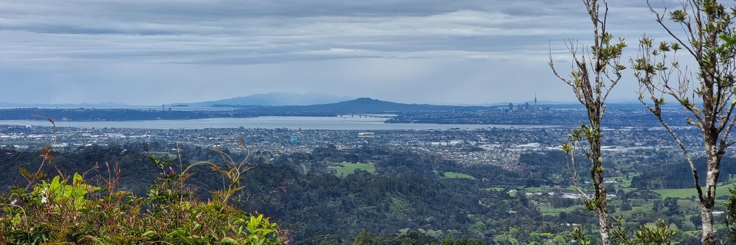 robincapper's profile banner image