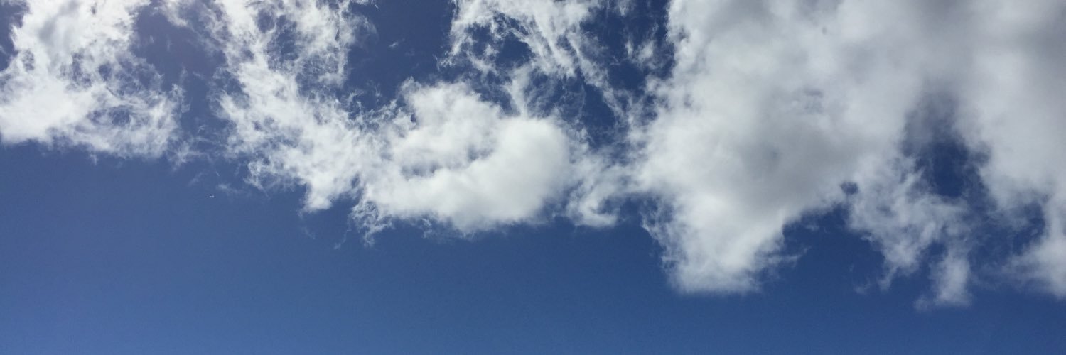 staceybroadbear's profile banner image