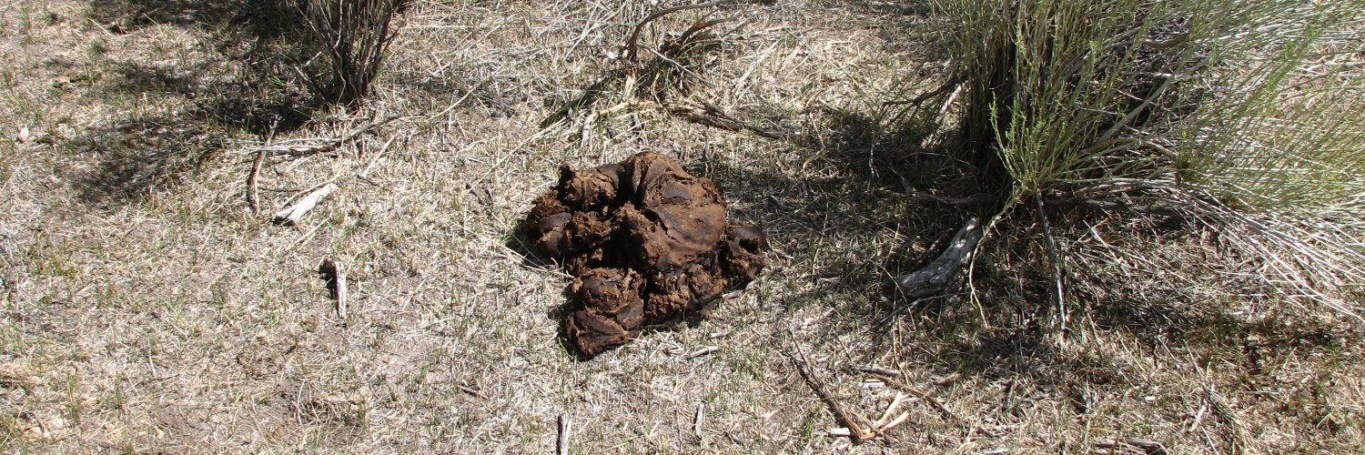 Aultonus Sagacious banner