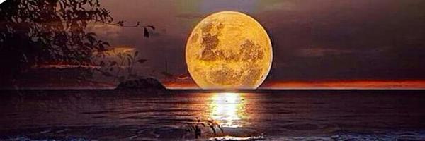 logan43119 Profile Banner