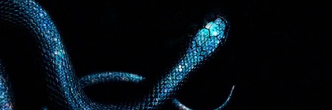 hglxs92's profile banner image