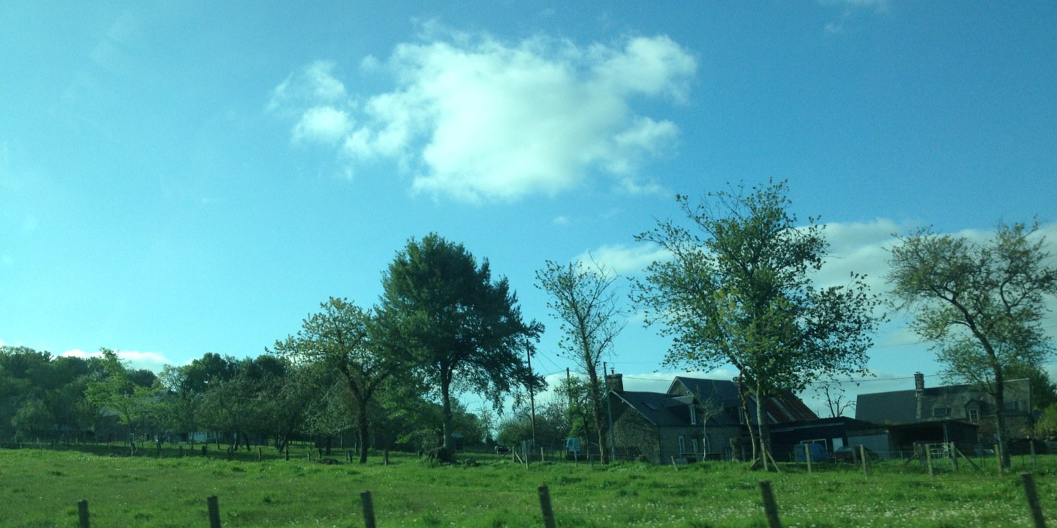 clemholleville's profile banner image