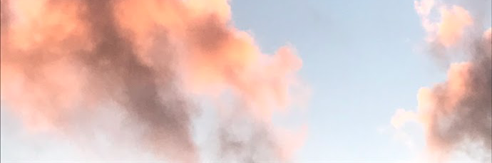 CourteneyReitz's profile banner image