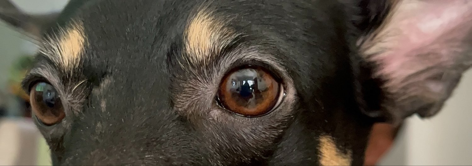 iangievega_'s profile banner image