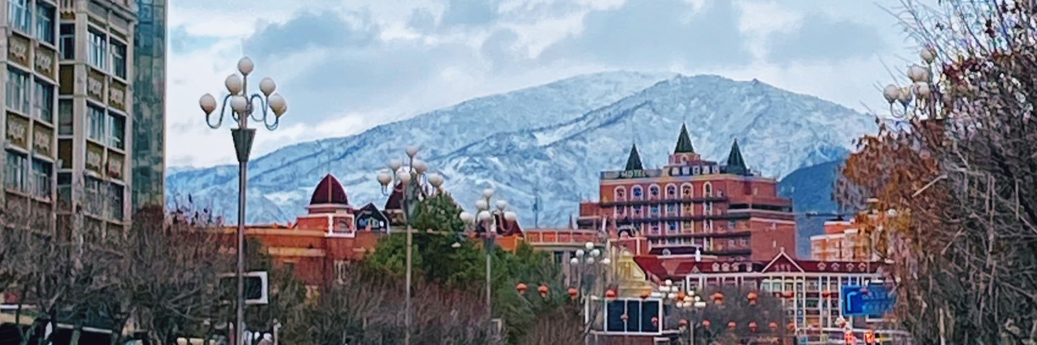 飞仙毒蛙 💯 banner