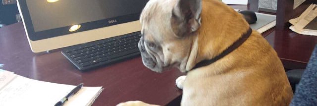 JSterkowitz's profile banner image