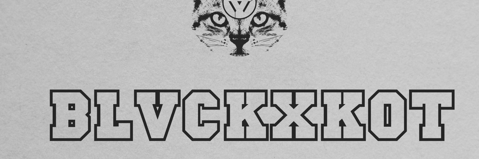 BLVCKxKOT's profile banner image
