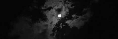 دانيه 🌸 banner