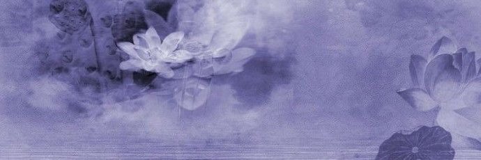 wlwtoremoge's profile banner image