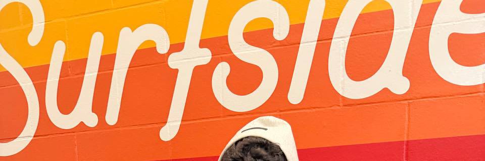 lisa😘 banner
