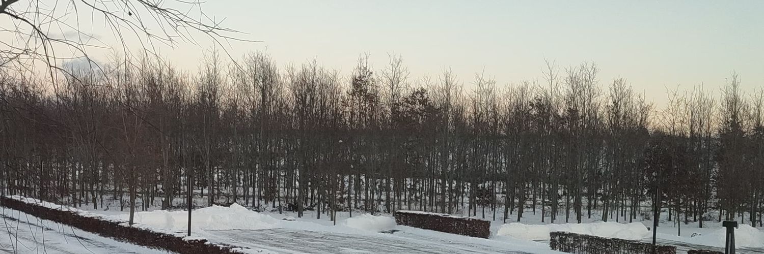 gabrielard16's profile banner image