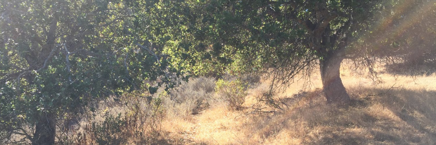 deckply's profile banner image