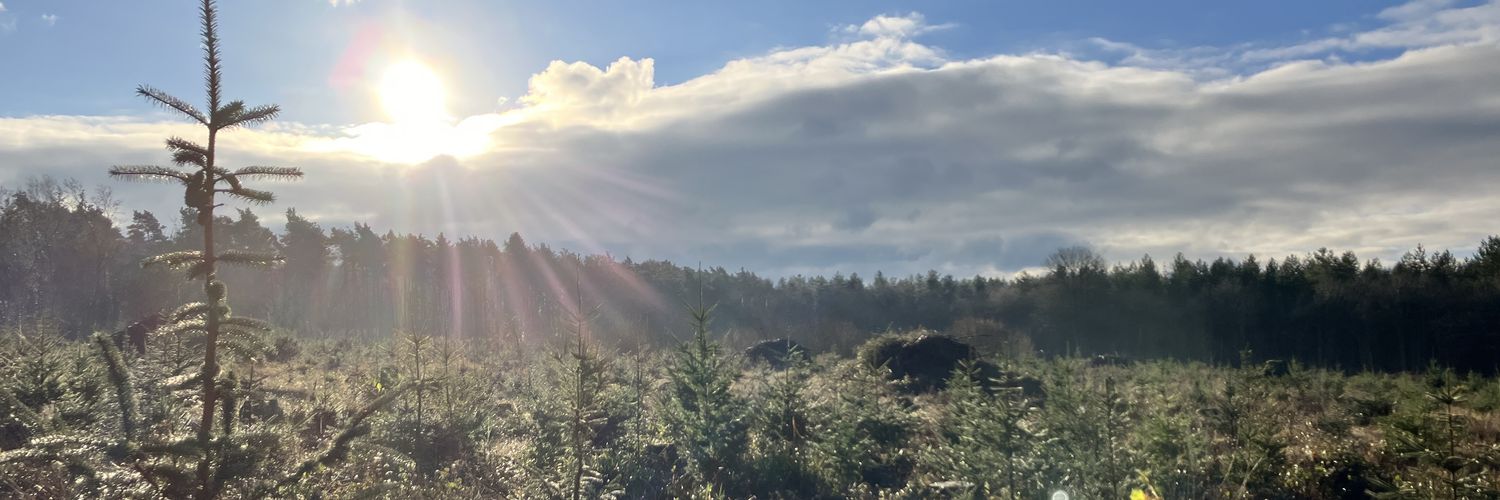 David Wallace-Hare banner