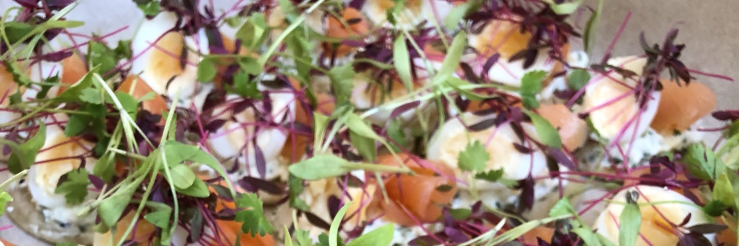 chef_macdonald's profile banner image