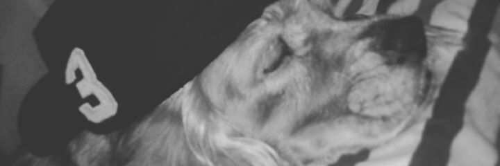 LauraValle__'s profile banner image
