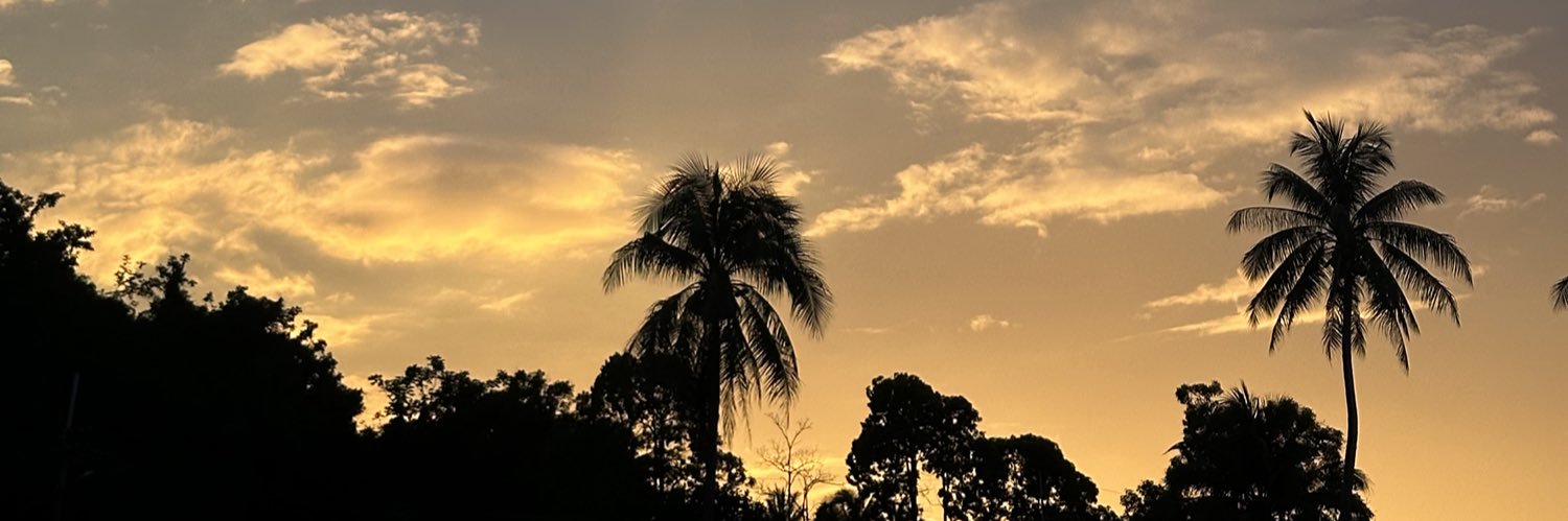 🤘☀️ banner