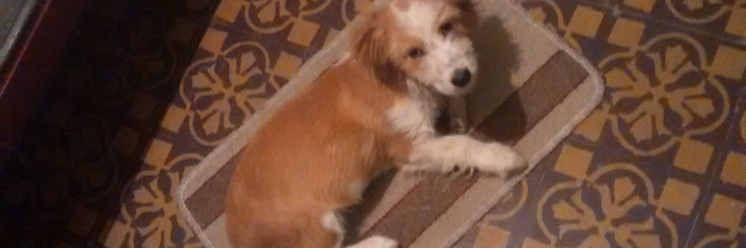 lopezdanielp0's profile banner image