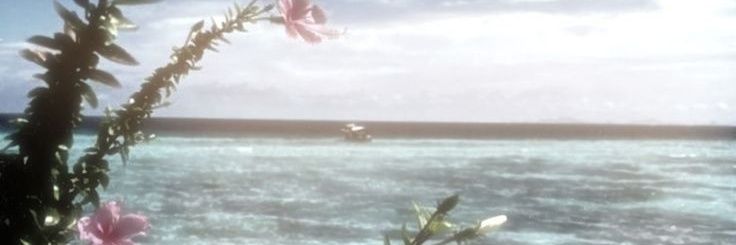 messyca banner