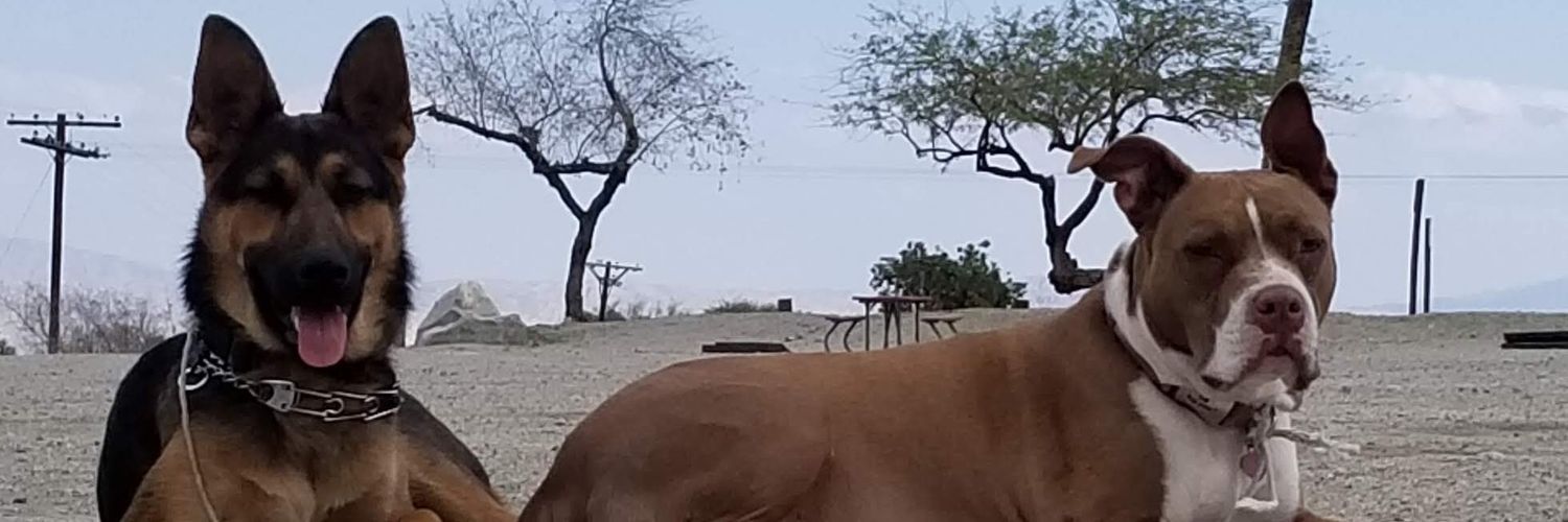 JssiglerMy's profile banner image