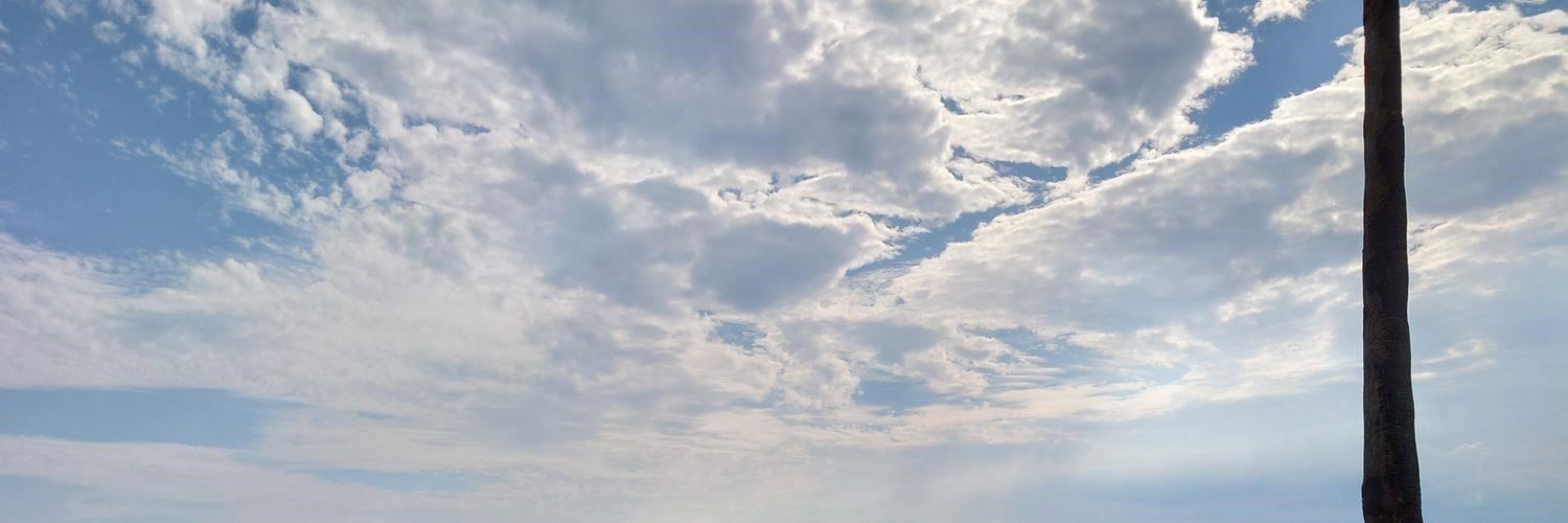 MistiWills87516's profile banner image