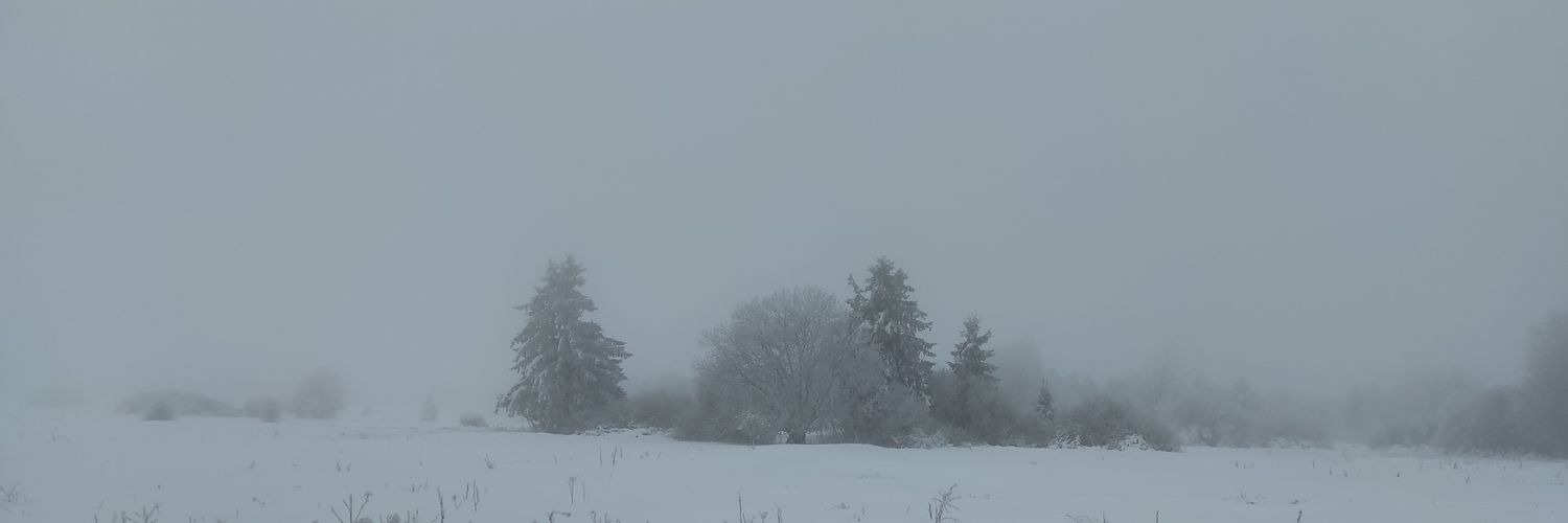 DavidLeytens's profile banner image