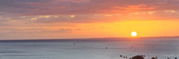Jenlucewrites Profile Banner